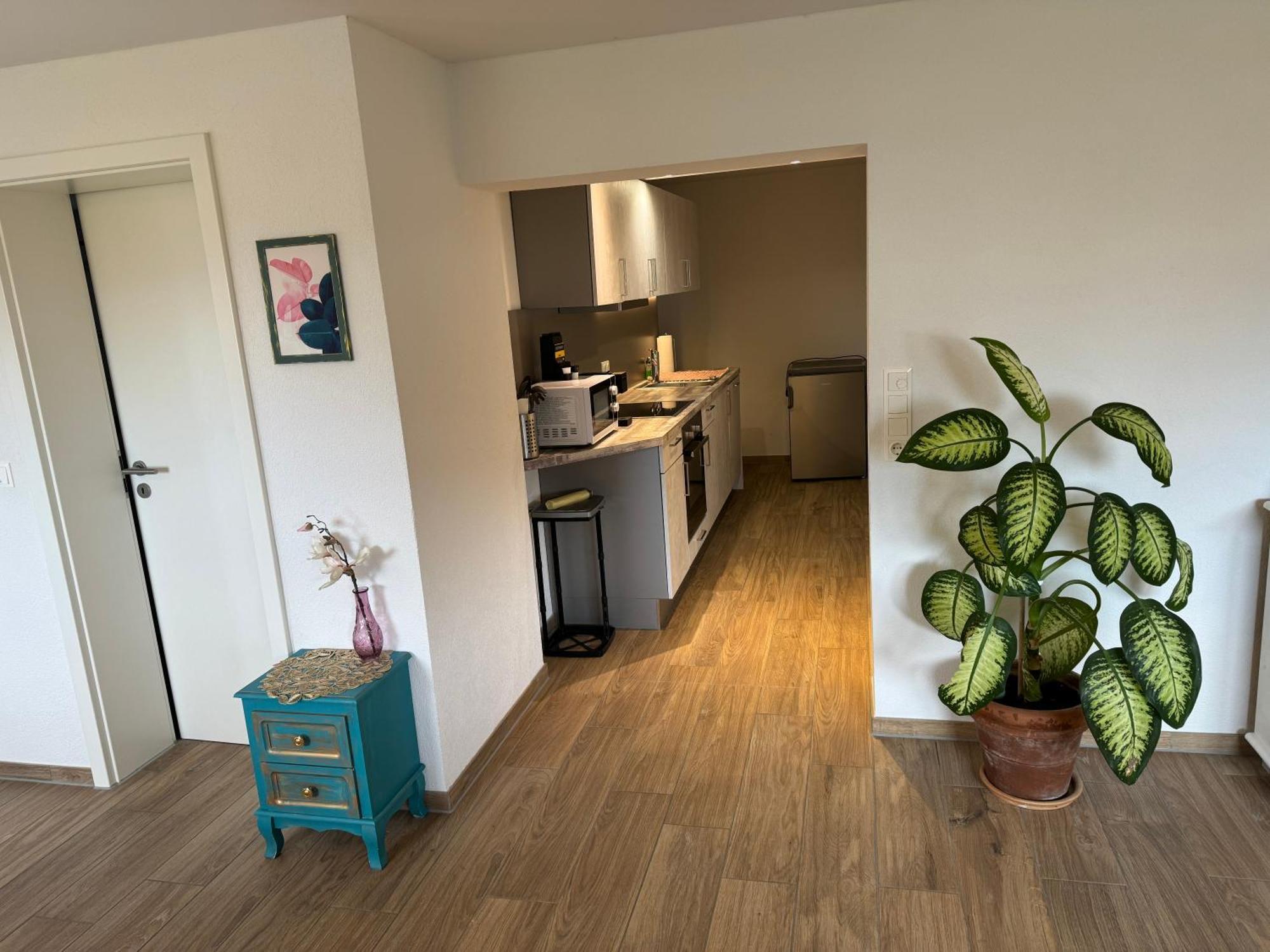 Am Sonnenhang Apartment Hilzingen